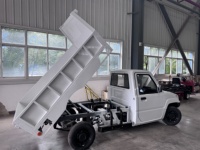 Chargement hydraulique complet 500kg 1 tonne Mini camion benne électrique automatique 5kw camionnette benne LHD RHD camionnette