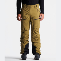 Pantalon de ski professionnel pour homme, imperméable, coupe-vent, en duvet de canard, idéal pour le snowboard et l'alpinisme – Offre spéciale OEM