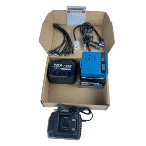 <span class=keywords><strong>Dashu</strong></span> Express Batería de litio personalizada 21V a 110/220V Convertidor inversor de corriente dc-av - Product Image 1