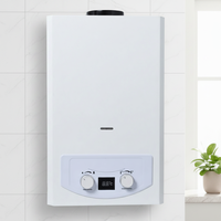 Chauffe-eau instantané au gaz de type cheminée 6-16L à performance stable pour le marché sud-américain