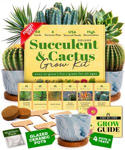 Kit per la coltivazione di Cactus da interno Deluxe di casa completo di vasi in ceramica per vasche vassoi gocciolanti guida per la scrofa succulenta - Product Image 1