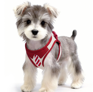 Arnés <span class=keywords><strong>de</strong></span> Pecho para Perro Pequeño, Estilo Academia, Lindo y Moderno, para Paseos, Ideal para Bichón Frisé y Teddy - Product Image 6