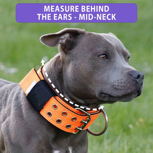 Fabricante de collares para perros, collares tácticos para mascotas de nailon resistente de raza extra grande, collares para perros Para Mujer - Product Image 6