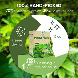 Herbal <b>Tea</b> Containing Gymnema Sylvestre and Celastrus Hindsii Leaf – Elegant Brew for Conscious Consumers - Product Image 5