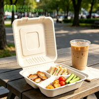 Boîte repas compartimentée 3 compartiments 9x9 pouces en bagasse de qualité alimentaire, écologique, non blanchie, pour plats à emporter