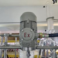 Nuevo Modelo de Reactor de Vidrio Encamisado Industrial Personalizado de 50L, Resistente a la Corrosión, para Procesamiento Piloto de Productos Químicos Finos