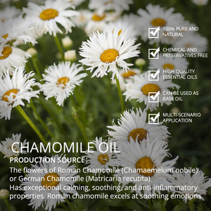 Aceite de Manzanilla Romana 100% Puro y Natural al por Mayor, Aceites Esenciales de Aromaterapia para el Cuidado de la Piel y Masajes Corporales - Product Image 3