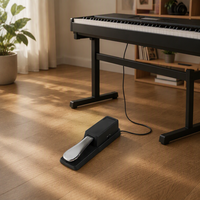 Pédale de sustain simple, approvisionnement direct usine, pédale amortisseur universelle pour clavier, achat en gros pour piano 61 ou 88 touches