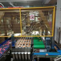 Emballageur automatique robotisé personnalisé pour sachets de chips, aliments, boissons, cartons, canettes, métal, industries de la santé