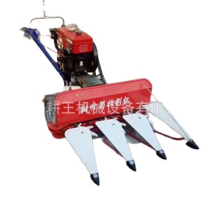 Moissonneuse-batteuse diesel, largeur de travail 1200 mm, transmission automatique, pour la récolte du riz - Product Image 5