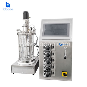LABOAO Benchtop 1L 2L 3L 5L 7L 10L Bioréacteur en verre Fermenteur de laboratoire pour la culture de bactéries - Product Image 4