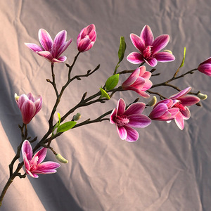 D-MG001 fleurs décoratives artificielles magnolia blanc, vraies fleurs au toucher pour centres <span class=keywords><strong>de</strong></span> <span class=keywords><strong>table</strong></span> <span class=keywords><strong>de</strong></span> mariage, décorations <span class=keywords><strong>de</strong></span> <span class=keywords><strong>table</strong></span> - Product Image 4