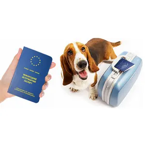 Logo personalizzato in lamina d'oro a caldo con Logo animale cane gatto cucciolo Pet certificato di carta vaccino per animali domestici stampa del passaporto sanitario