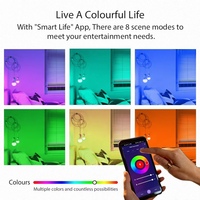 Ampoule LED décorative pour la maison, compatible avec Alexa WiFi TUYA APP, remplace les ampoules intelligentes, A19 E26 E27