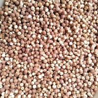 Noix de renard (fruit de Gorgone) |   Thé aux herbes pour le bien-être de la rate et des reins |   Sans caféine |   Graines d'Euryale Ferox séchées en vrac |   OEM