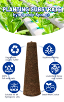 Culture hydroponique sans sol écologique Pot de semis Bloc de tourbe de coco Plantes en croissance Éponges de semis Substrat de croissance