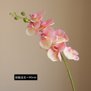Fleurs artificielles en latex d'orchidées <span class=keywords><strong>Cymbidium</strong></span> blanches Real Touch pour la remise des diplômes ou les décorations d'Halloween - Product Image 5