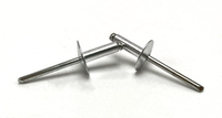 Grosse Tête Galvanisé Poli Rivet Grande Bride En Acier En Aluminium De Type Ouvert Rivets Pop