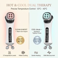 Appareil de lifting facial vibrant 3D portable pour le cou, le visage et les yeux, avec rouleau de glace, masseur électrique de beauté pour le visage et le cou