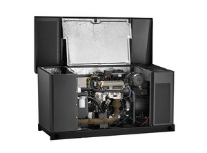 Generador de Emergencia para el Hogar LPV/NG Briggs & Stratton Modelo 76880 de 30kW de Alta Gama con Enfriamiento Líquido para Uso Doméstico, Fabricado en EE. UU. - Product Image 2