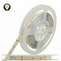 DC24V réglable LED bande Flexible double blanc CCT 2700-6500K 15 W/m USB connectivité télécommande commutateur cuivre corps IP20 évalué