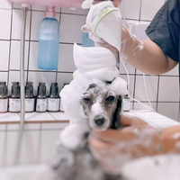USMILEPET Machine à bulles pour spa pour animaux de compagnie en plastique écologique, shampoing nano, bain au lait pour le bain des chiens et des chats