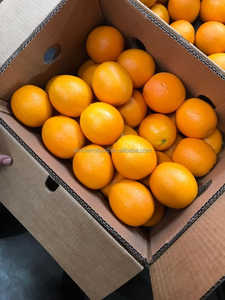 15 kg de <span class=keywords><strong>Naranjas</strong></span> Valencia Frescas y <span class=keywords><strong>Limones</strong></span> de China, Producto Cítrico Premium, 4-5 mm, 4 Meses de Duración - Product Image 3