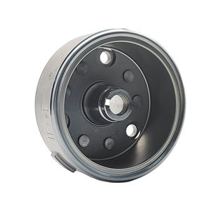 Pièces détachées de <span class=keywords><strong>moto</strong></span> à trois roues Bajaji de haute qualité, 250cc, 300cc, refroidies par eau, 12 niveaux, <span class=keywords><strong>stator</strong></span> magnéto, volant d'inertie - Product Image 4