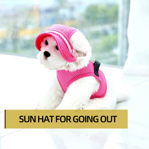 Atacado respirável ajustável Pet <span class=keywords><strong>Dog</strong></span> <span class=keywords><strong>Hat</strong></span> - Product Image 2