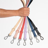 Luxe nouvelle tendance chasse doux imperméable végétalien PVC collier et laisse pour chien néoprène harnais pour chien ensemble