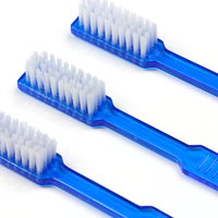 Brosses à dents colorées jetables avec brosses à dents peintes en pré-pâte
