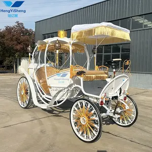 Carruagem de abóbora Cinderela, carruagem elétrica para casamento ou passeio turístico, carruagem de cavalo/cavalo turístico para casamento, jardim