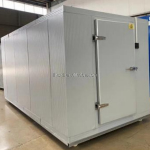 ห้องเย็นเคลื่อนที่ -20 องศา ℃   อุณหภูมิการแช่เย็นปรับได้ ขนาดปรับแต่งได้สำหรับการจัดเก็บผลไม้ ผัก เนื้อสด และดอกไม้ - Product Image 5