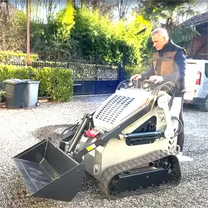 Gratis Verzending 380 420 Skid Stuur Goedkope Nieuwe Kleine Mini Kleine Tuinlader Track Mini Skid Stuurloader