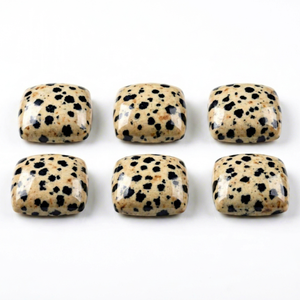 Pedidos al por mayor de fábrica: Cabujones calibrados de jaspe dalmático natural, piedras lisas de base plana para envoltura con alambre y engaste de bisel. - Product Image 1