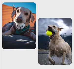 ETPU solido galleggiante leggero e resistente cane giocattolo da masticare resistente al morso indistruttibile movimento interattivo palla giocattolo diretta - Product Image 4