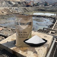 Polyacrylamide Anionique à Très Haut Poids Moléculaire APAM Floculant pour Forage Pétrolier, Exploitation Minière et Eaux Usées CAS 9003-05-8 25kg SECCO