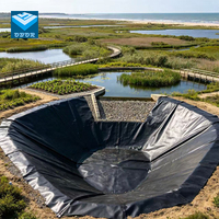 Géomembrane HDPE 0,3 mm 0,5 mm 1,0 mm à excellente élongation pour toitures, usage extérieur, barrages, bassins à poissons, décharges – MOQ acceptable