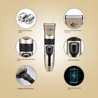 Produits de beauté pour animaux de compagnie, conditionneur pour poils de chien en céramique plastique rechargeable portable professionnel de haute qualité, nettoyage avancé, facile