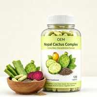 Capsules de Complexe de Cactus Nopal en Gros OEM, Marque Privée, 120 Comprimés, Complément Alimentaire