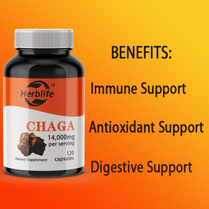 OEM/ODM Hot Selling Chaga Capsules for Adults <b>Herbal</b> <b>Supplements</b>, 120 Vegan Capsules, Immune Support - Product Image 3