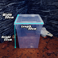 Boîte en plastique transparente avec couvercle, conteneur de rangement transparent ventilé, boîte d'alimentation rectangulaire en plastique pour reptiles, lézards, serpents