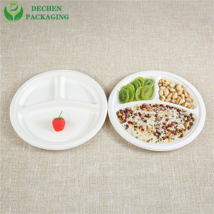 Disposable 9" Plate Bio-Based Made from Sugarcane Bagasse