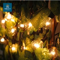 Guirlandes lumineuses d'extérieur 5/10m 20 ampoules Edison IP44 LED RGBW étanches Contrôle multi-protocoles CRI élevé 90 500 Lumens Dimmable 5000