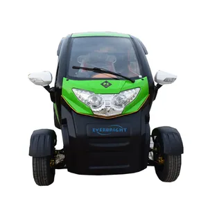en12184 Adult New energy Mini Electric Cars made in China price with air condition