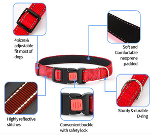 Ensemble de colliers et laisses réfléchissants pour chiens, avec verrou de sécurité, poignée en néoprène souple, ensemble de colliers de plomb en Nylon respirant, kit pour animaux de compagnie pour chiens - Product Image 3