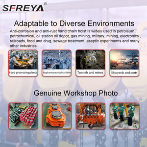 S3015สแตนเลสสตีลรอกโซ่ด้วยตนเอง20Ton 0.<span class=keywords><strong>5T</strong></span> 1T 2T 3T <span class=keywords><strong>5T</strong></span> 7.<span class=keywords><strong>5T</strong></span> 10T - Product Image 3