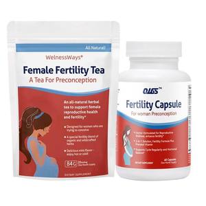 Té de Fertilidad Reproductiva para Mujeres, Natural, Orgánico, Puro, Premium, Bienestar Profesional, Saludable, Proveedor Mayorista de Primera Calidad - Product Image 1