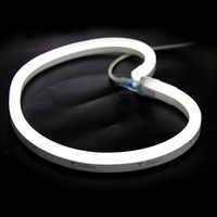 Lumières LED néon flexibles à double couleur, design breveté, matériau PVC, 15x26mm, dimmables, IP68 IK08, 24V/120V/230V, pour usage en jardin