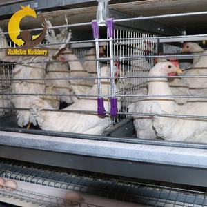 Jinmuren a type layer chicken fully automatic poultry <strong>farms</strong> 10000 15-20 years layer chickens farm <strong>bird</strong> cage - Product Image 3